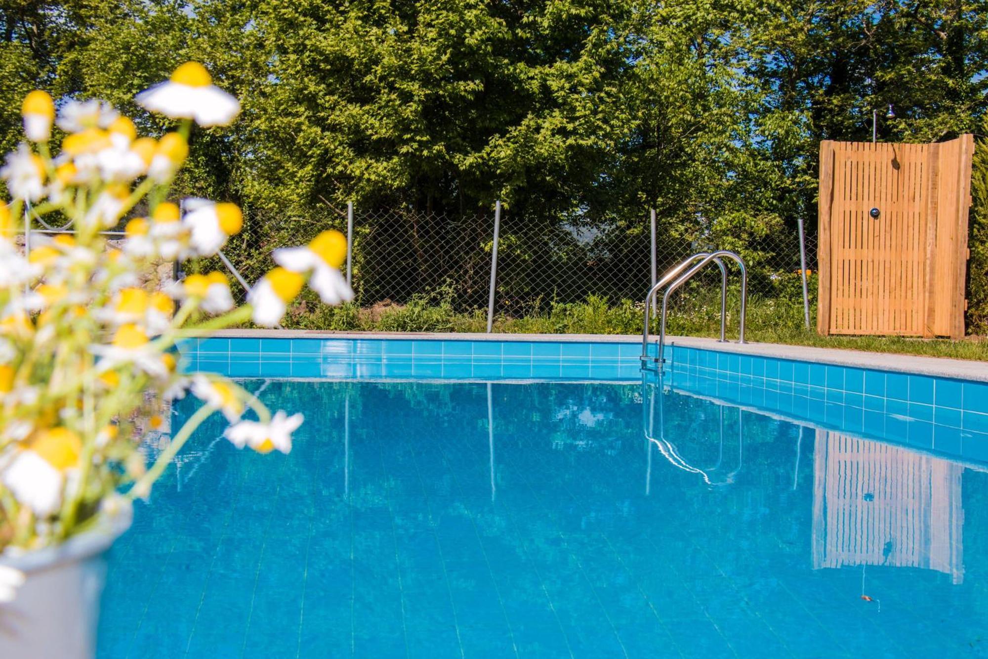 Aristotelia Gi Ikies - Olympiada Poolside Retreats Luaran gambar