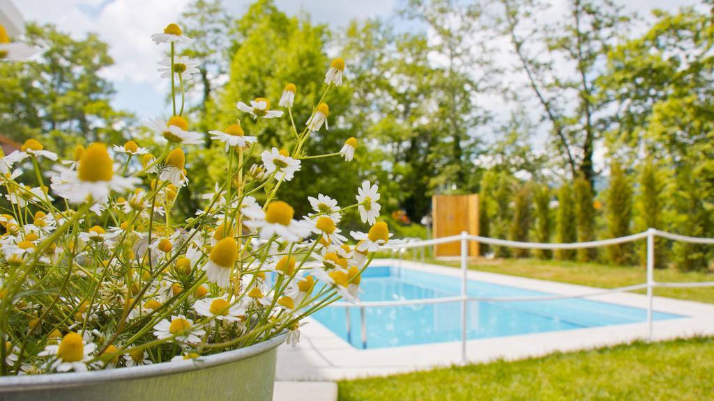 Aristotelia Gi Ikies - Olympiada Poolside Retreats Luaran gambar